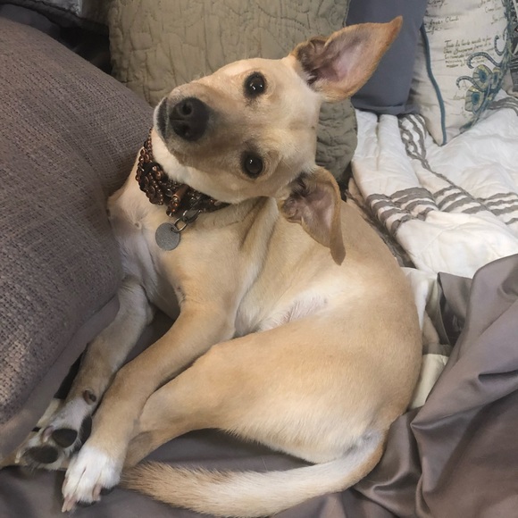 Meet your Posher, Lura - Picture 5 of 8